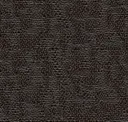Kopi Bronze