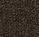 Arizona Bronze