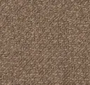 Champagne Beige