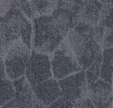 Grey Wedge