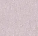 Z54524