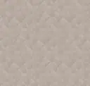 Z54532