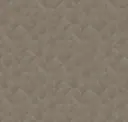 Z54534