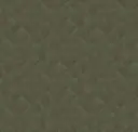 Z54535