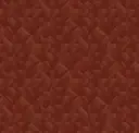 Z54538