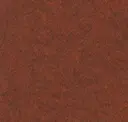 Peppercorn