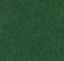 Oregano