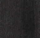 Charred Larch
