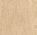 Wine Barrel