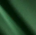Pine Needle