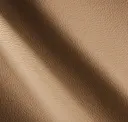 Safari