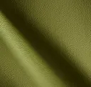 Aloe