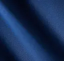 Electric Blue
