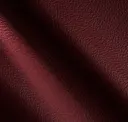Blood