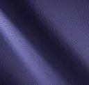 Twilight Purple