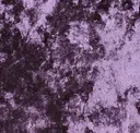 Dazzle