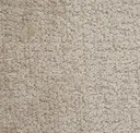 15 Light Beige