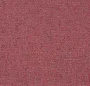 13 Coral