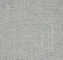 003 Ivory