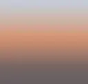 Desert Eco