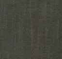 Lemur