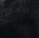 The Outlaw