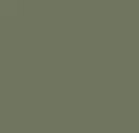 Nf 017