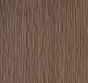 Oak Salvia T326