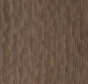 Oak Salvia T326