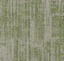 Spear Moss