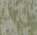 Spear Moss