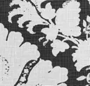Inky Cloud