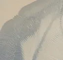 Ice Cap