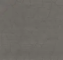 Graphite