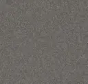 Papigo