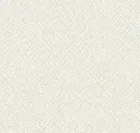 Parchment