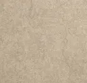 Foundation