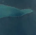 Mediterranean