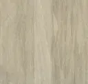 Spruce