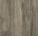 Gray Chestnut