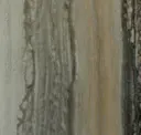 Arctic
