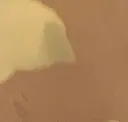 Cameo