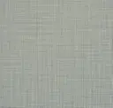 Coelum