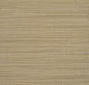 Sandstorm