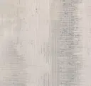 Silver Dollar
