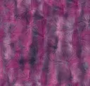 Fushia
