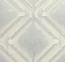 Arctic