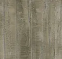 Bronzite