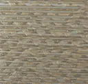 Bronzite