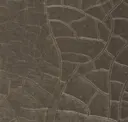 Bark
